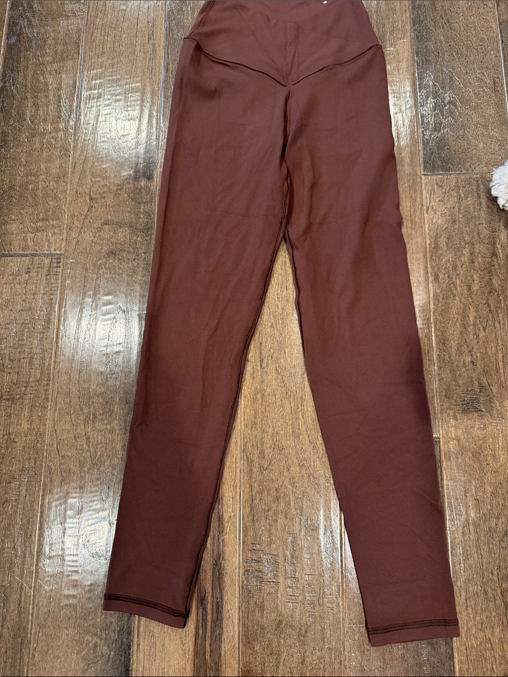 aerie High-Rise Leggings in Deep Brown